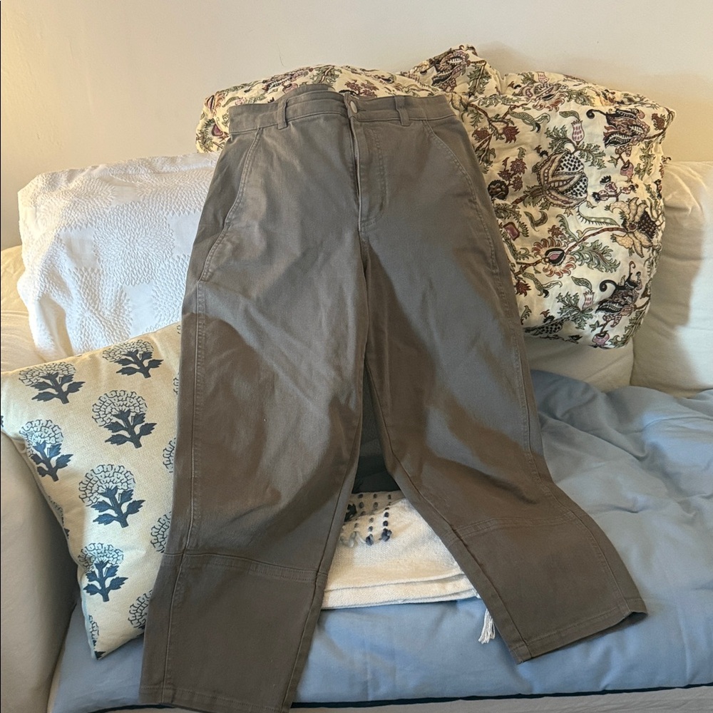 Everlane Slim Fit Gray Chinos